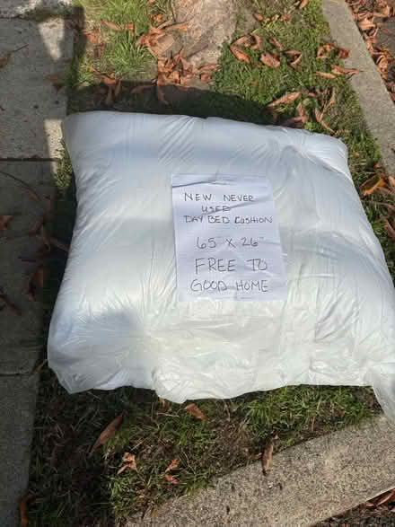 Photo of free New daybed cushion -Street find (Berkeley) #1