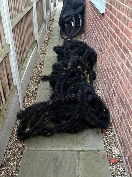 Photo of free Gutter brush (Heybridge Basin, CM9) #1