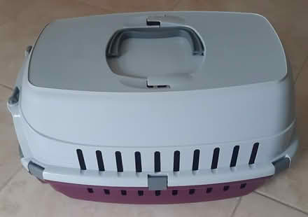 Photo of free Pet Basket (Bristol, BS7) #2