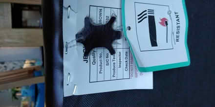 Photo of free Dining chairs (Lytchett Matravers) #3