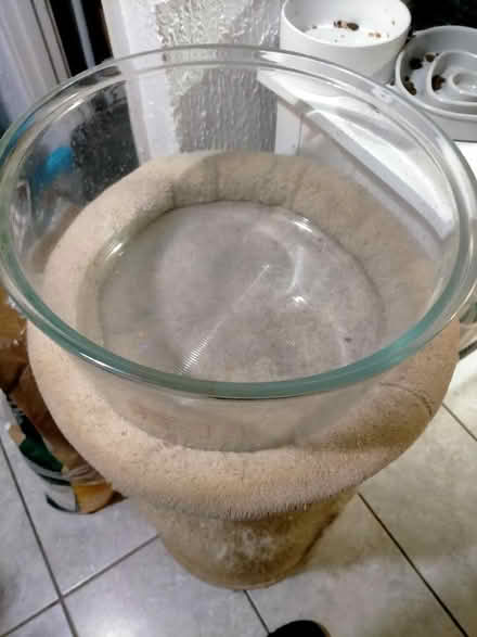 Photo of free Halogen replacement bowl (Kingsmoor CM18) #3