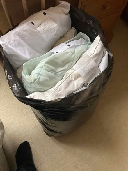 Photo of free Various pillows (Brentwood CM15) #1