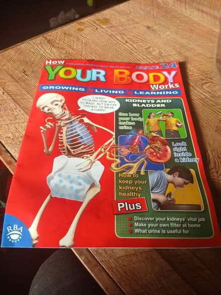 Photo of free Magazines and body parts (Welling Da163lh) #1