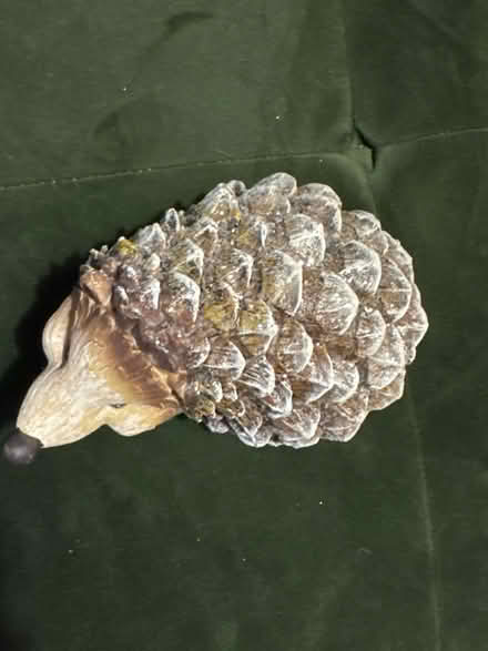 Photo of free hedgehog (marden TN12) #3
