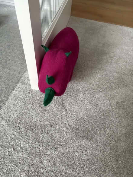 Photo of free Rhino Door Stop (Longfleet BH15) #1