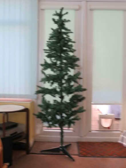 Photo of free Artificial Christmas Tree (Southdown) #3