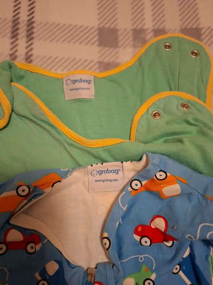 Photo of free Baby gro sleeping bags (Sopwell AL1) #2