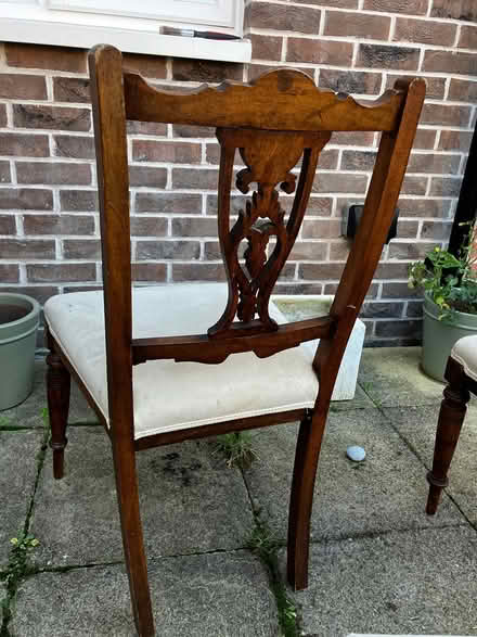 Photo of free Set of four antique chairs (North chichester) #1