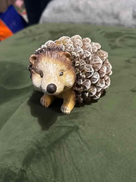 Photo of free hedgehog (marden TN12) #1