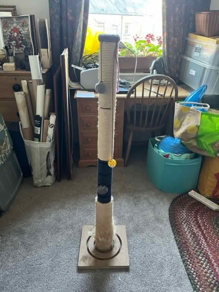Photo of free Cat Tree&Tall Scratcher (Saltaire BD18) #2