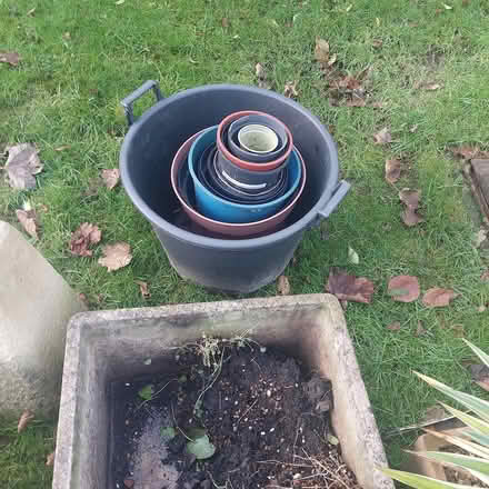 Photo of free Plant and pots (Jesmond Park East NE7) #4