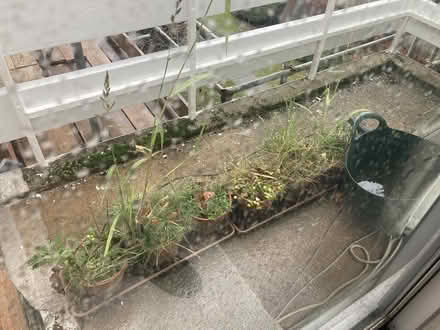 Photo of free Plant pots, tray, solar-powered irrigation system and butt (Brentwood CM15) #1