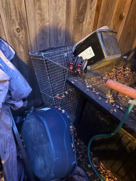 Photo of free Dog and Cat Items (West San Jose 95128) #2