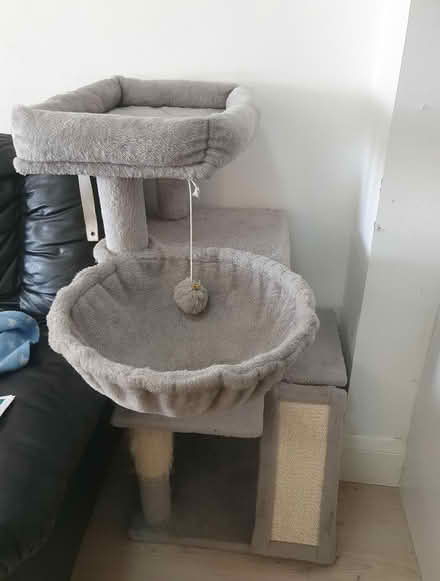 Photo of free Cat Tree (Purley, CR8) #2