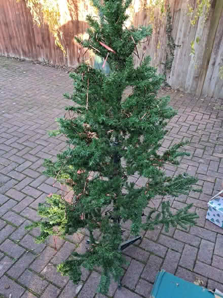 Photo of free Christmas tree (Malvern Link WR14) #1