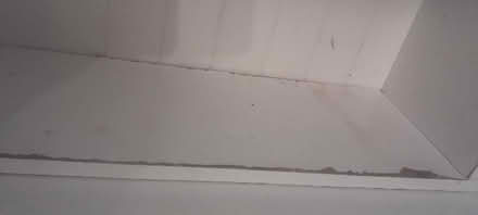 Photo of free Bathroom cabinet (Trentvale ST4) #4