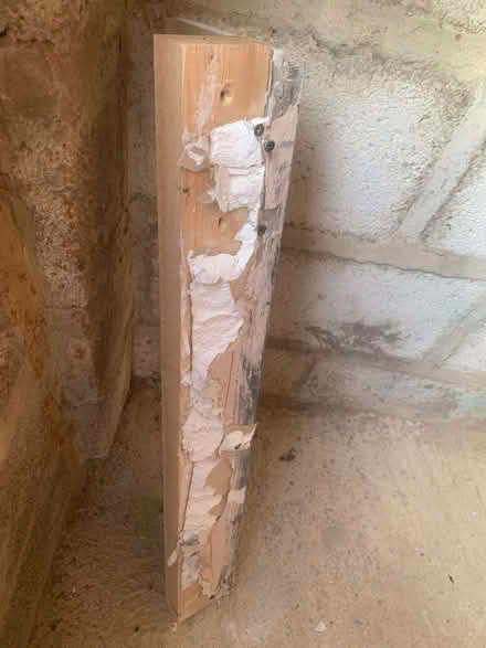 Photo of free Used timber pieces with plaster attached (Lye Valley OX3) #3