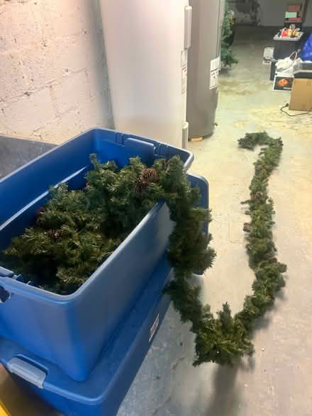 Photo of free Long Christmas Garland (Midtown Toronto) #3