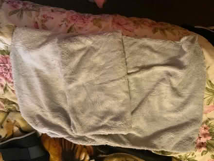 Photo of free Cuddly pillowcase's (Aspley NG8) #1