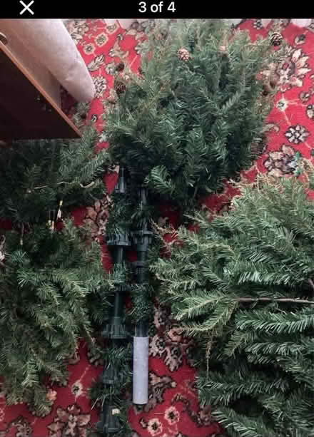Photo of free christmas tree 6ft (Coleshill B46) #4