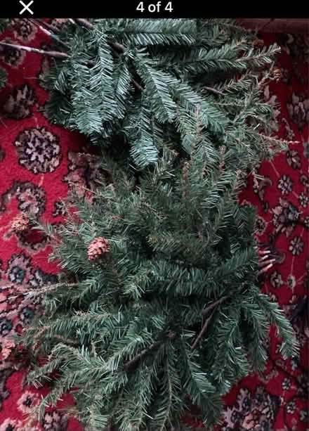 Photo of free christmas tree 6ft (Coleshill B46) #3