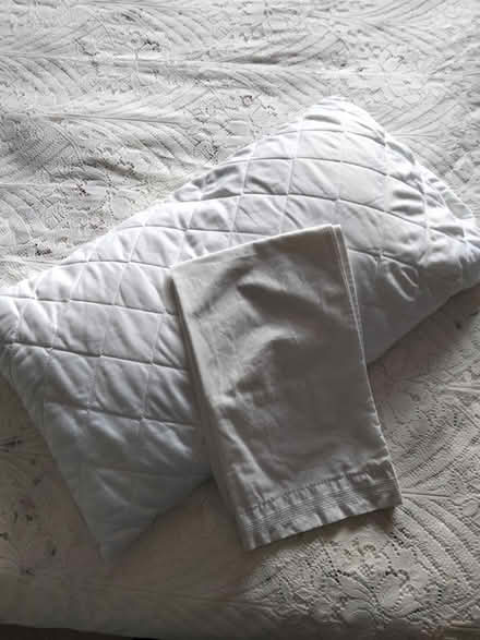 Photo of free Pillows (Binegar, near church.) #1