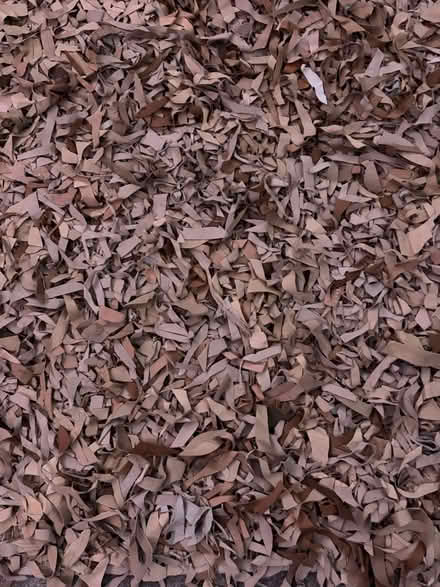 Photo of free Real Leather Tassel Rug (Wetherby LS22) #2