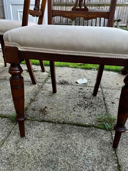 Photo of free Set of four antique chairs (North chichester) #2