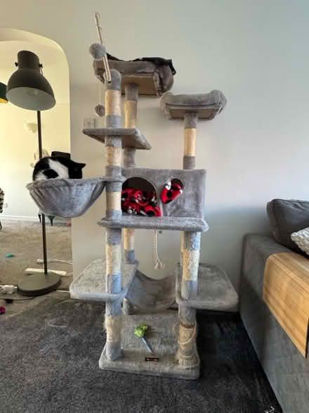 Photo of free Cat Tree (Didcot OX11) #1
