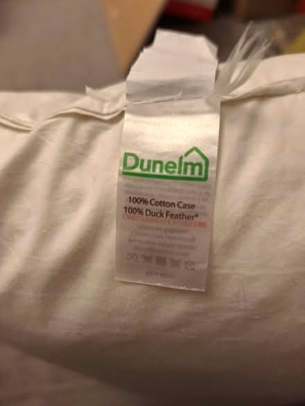 Photo of free Dunelm Feather Pillow (Bruntsfield EH10) #1