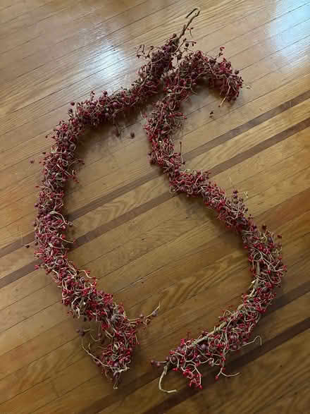 Photo of free Thick berry garland (Drexel Hill) #1