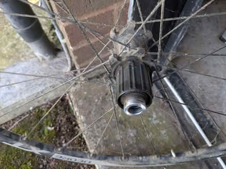 Photo of free Shimano XT 29" wheel, muddy but otherwise VGC (Malvern Wells WR14) #4