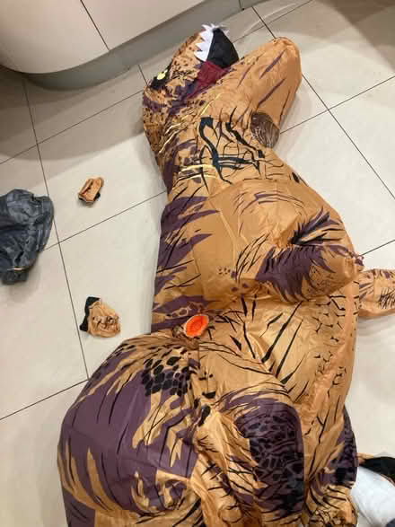 Photo of free Inflatable dinosaur costume (Chelmsford. CM2) #2