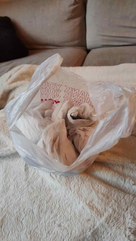 Photo of free Lot of plastic grocery bags (Midtown/Boulevard Park) #2