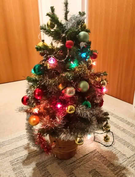 Photo of free Small Christmas Tree (Surrey Heath GU24) #1