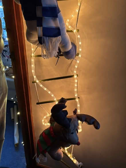 Photo of free Outside Xmas dec (Bracknell RG12) #4