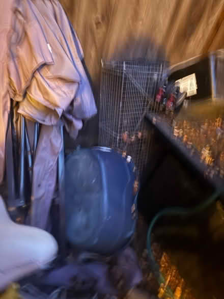 Photo of free Dog and Cat Items (West San Jose 95128) #3