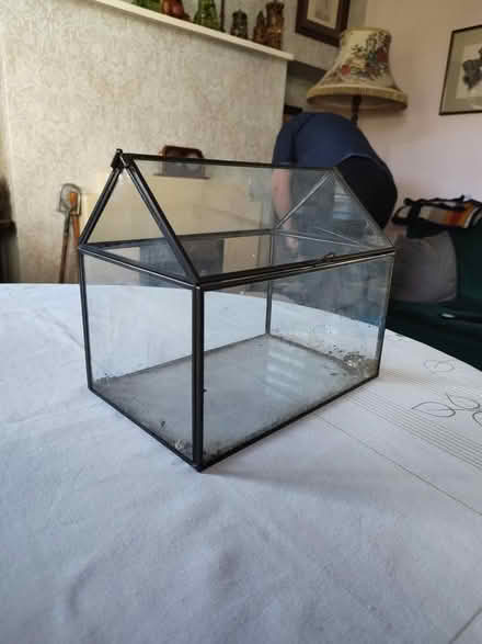 Photo of free Glass Terrarium (TN39) #1