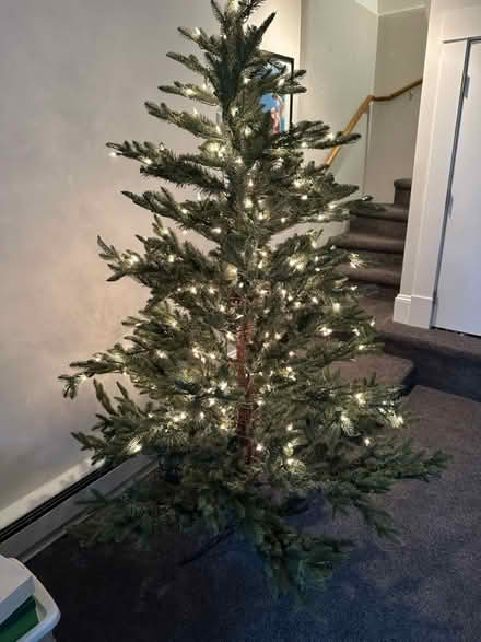 Photo of free Artificial lighted Xmas tree (Brookline Village) #1