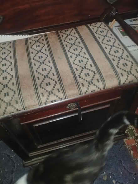 Photo of free Piano stool (Nr South Norwood Lakes SE19) #3