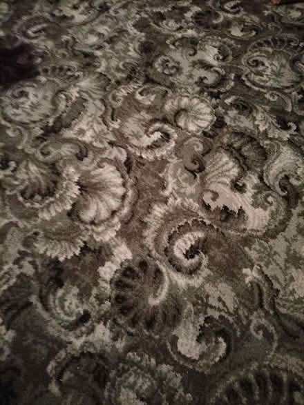 Photo of free New Lge Piece Green Carpet (Hilsea Portsmouth PO2) #1