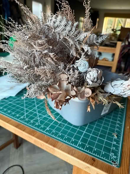 Photo of free Dried flowers and leaves (Pant SY10) #2