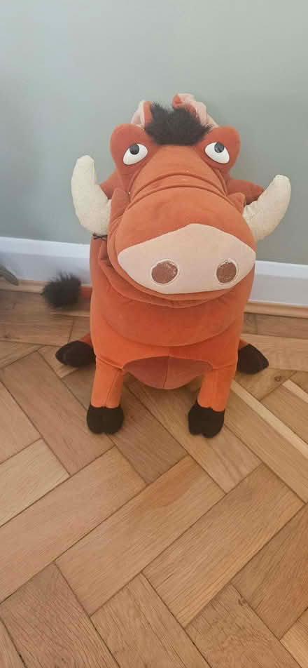 Photo of free Pumbaa (Lion King) large cuddly toy (St Stephens AL3) #1