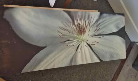 Photo of free Flower Canvas (Leigh Park PO9) #1