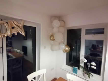 Photo of free Balloons (Didcot OX11) #2