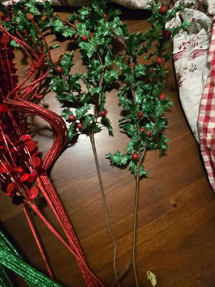 Photo of free Sparkly X-mas Sprays (Ballard) #2