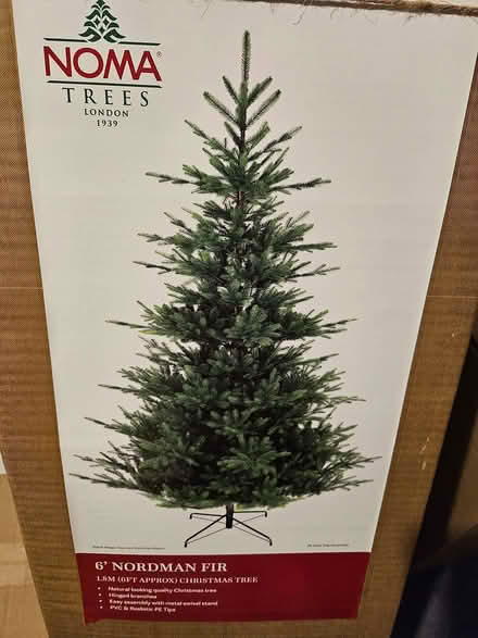 Photo of free Christmas Tree B - 6ft (Henbury BS10) #1