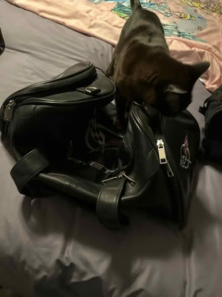 Photo of free Black leather corvette bag (Wakefield) #1