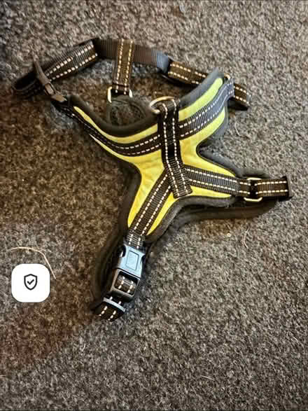 Photo of free Small dog harness (Bracknell’s RG42) #1