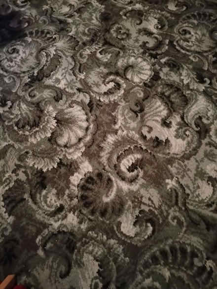 Photo of free New Piece of Green Pattern Carpet (Hilsea Portsmouth PO2) #1